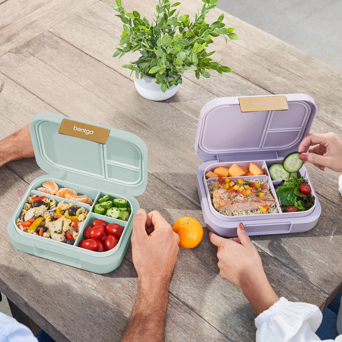 bentgo-modern-lunch-box-2-pack-n9 COSTCOBMCPRODUCTIMAGE_2.jpg